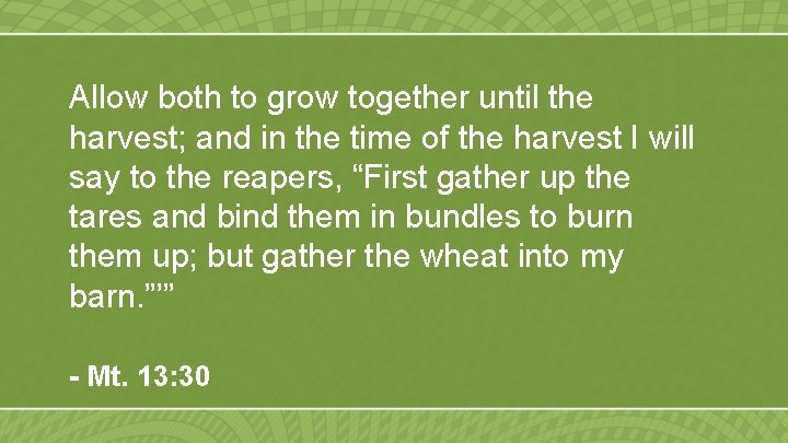 Allow both to grow together until the harvest; and in the time of the