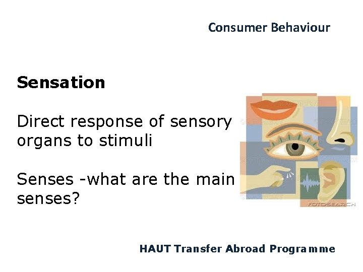 Consumer Behaviour Sensation Direct response of sensory organs to stimuli Senses -what are the
