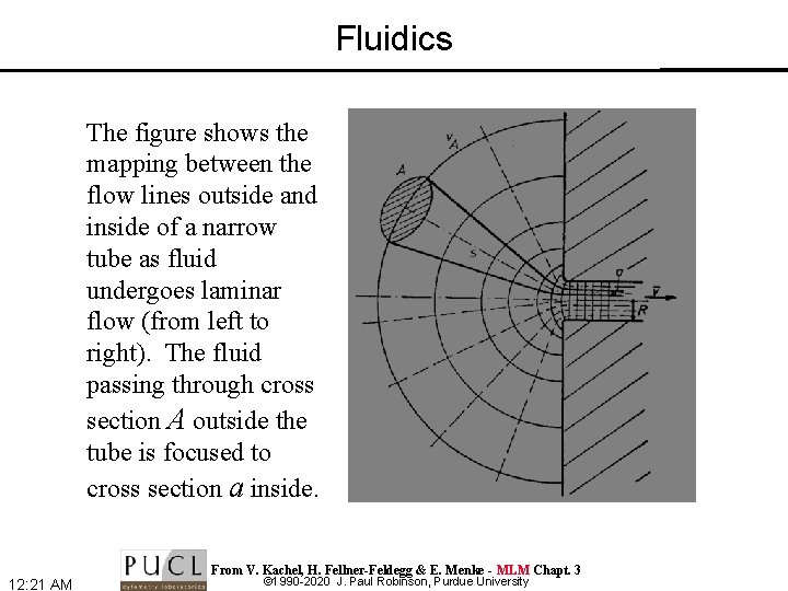 Fluidics The figure shows the mapping between the flow lines outside and inside of