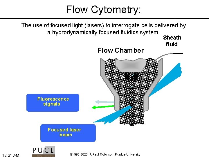 Flow Cytometry: The use of focused light (lasers) to interrogate cells delivered by a