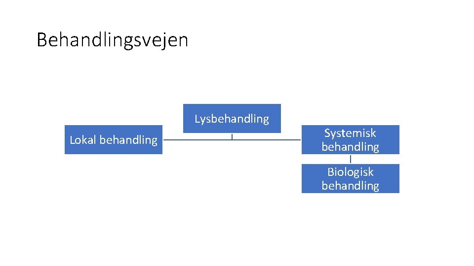 Behandlingsvejen Lysbehandling Lokal behandling Systemisk behandling Biologisk behandling 