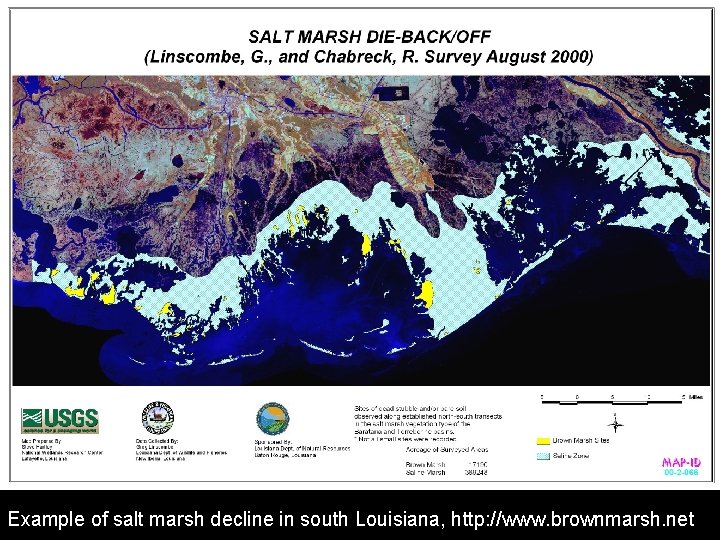 Example of salt marsh decline in south Louisiana, http: //www. brownmarsh. net 