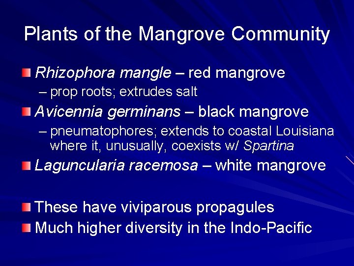 Plants of the Mangrove Community Rhizophora mangle – red mangrove – prop roots; extrudes