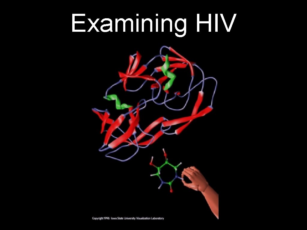 Examining HIV 