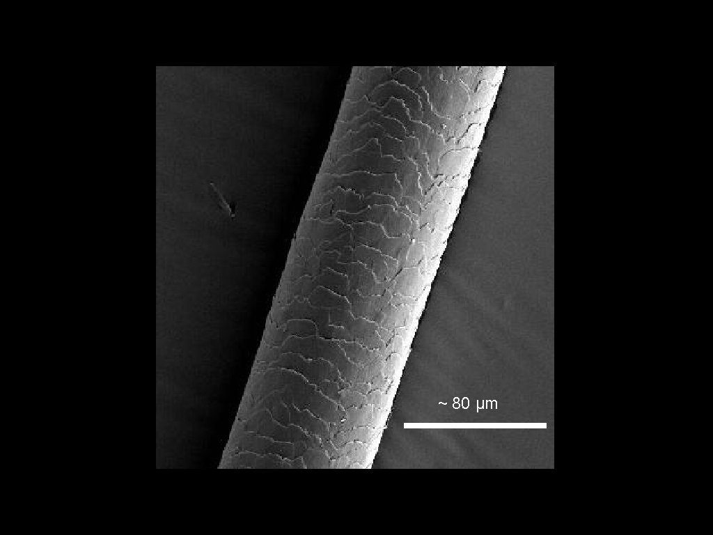 ~ 80 μm 