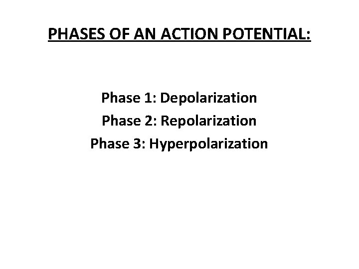 PHASES OF AN ACTION POTENTIAL: Phase 1: Depolarization Phase 2: Repolarization Phase 3: Hyperpolarization