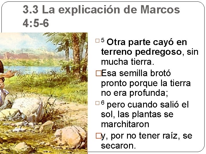 3. 3 La explicación de Marcos 4: 5 -6 Otra parte cayó en terreno