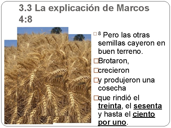 3. 3 La explicación de Marcos 4: 8 Pero las otras semillas cayeron en