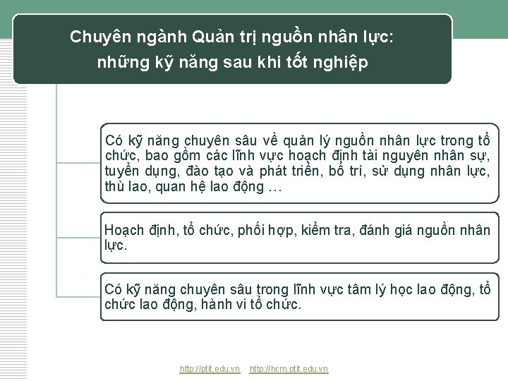 Chuyên ngành Quản trị nguồn nhân lực: những kỹ năng sau khi tốt nghiệp