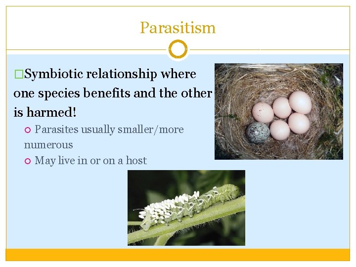 Parasitism �Symbiotic relationship where one species benefits and the other is harmed! Parasites usually