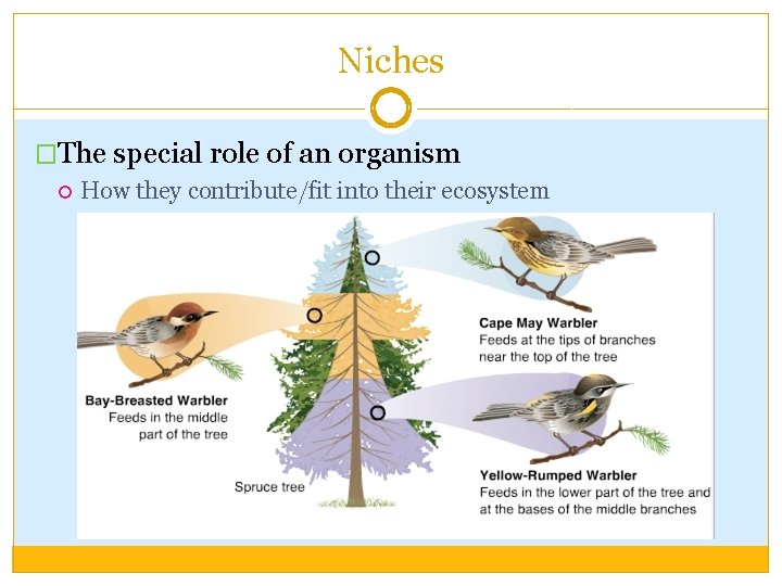 Niches �The special role of an organism How they contribute/fit into their ecosystem 