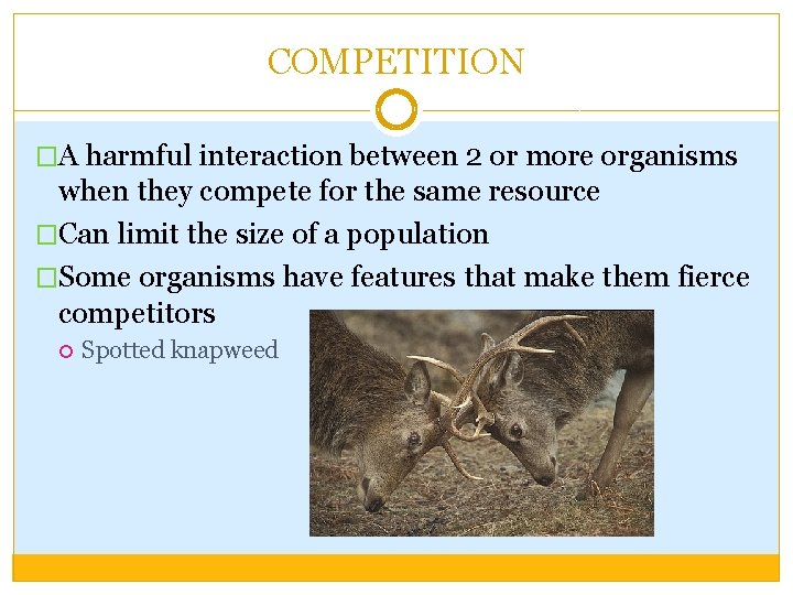 COMPETITION �A harmful interaction between 2 or more organisms when they compete for the