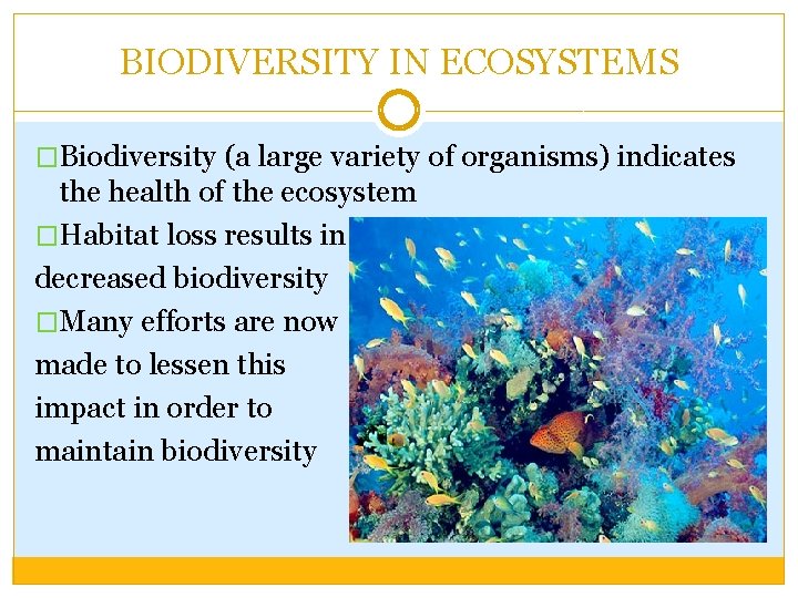 BIODIVERSITY IN ECOSYSTEMS �Biodiversity (a large variety of organisms) indicates the health of the