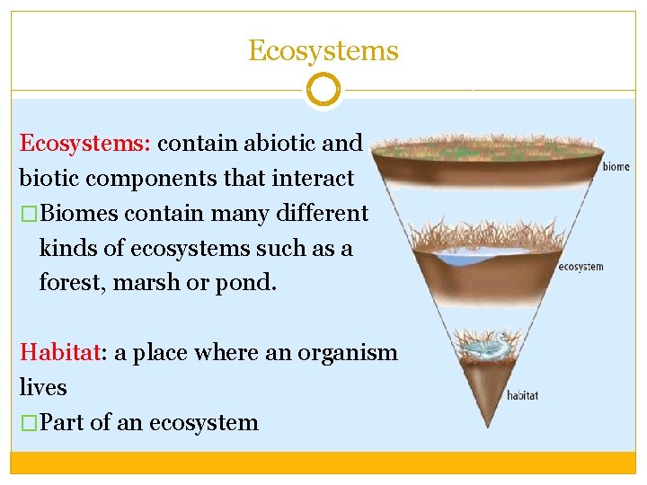 Ecosystems: contain abiotic and biotic components that interact �Biomes contain many different kinds of