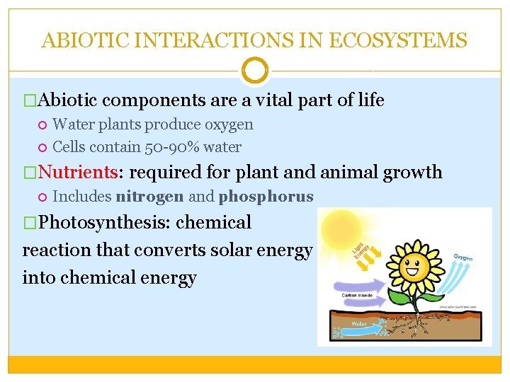 ABIOTIC INTERACTIONS IN ECOSYSTEMS �Abiotic components are a vital part of life Water plants