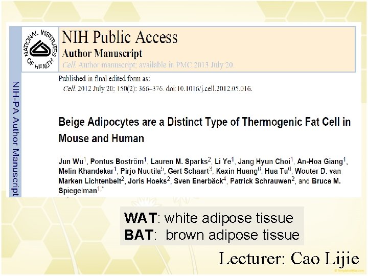 第一PPT模板网 WAT: white adipose tissue BAT: brown adipose tissue Lecturer: Cao Lijie 