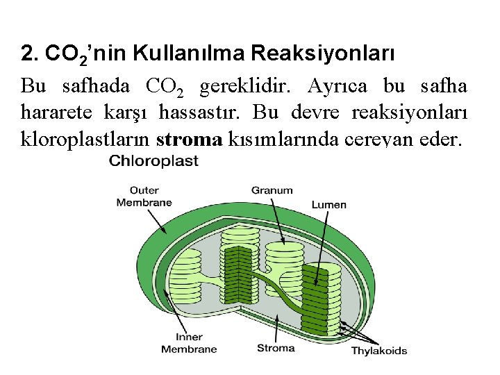 2. CO 2’nin Kullanılma Reaksiyonları Bu safhada CO 2 gereklidir. Ayrıca bu safha hararete