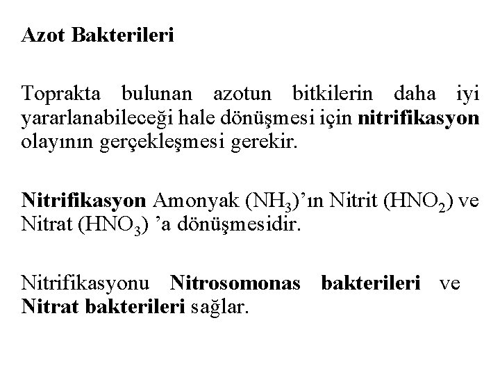 Azot Bakterileri Toprakta bulunan azotun bitkilerin daha iyi yararlanabileceği hale dönüşmesi için nitrifikasyon olayının