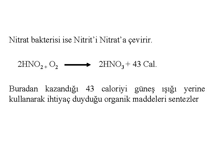 Nitrat bakterisi ise Nitrit’i Nitrat’a çevirir. 2 HNO 2 + O 2 2 HNO