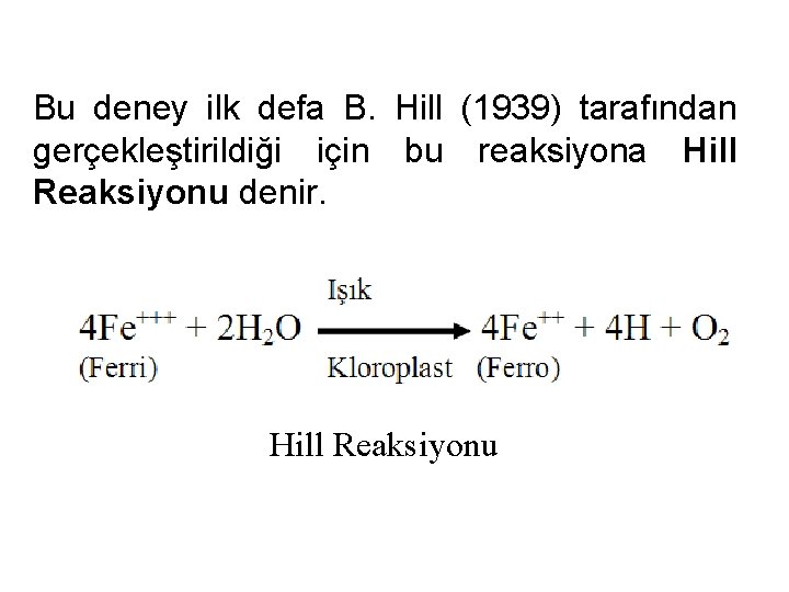 Bu deney ilk defa B. Hill (1939) tarafından gerçekleştirildiği için bu reaksiyona Hill Reaksiyonu