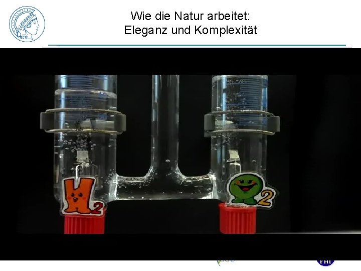 Wie die Natur arbeitet: Eleganz und Komplexität Nutzt nur häufige chemische Elemente Hydrogenase [Ni,