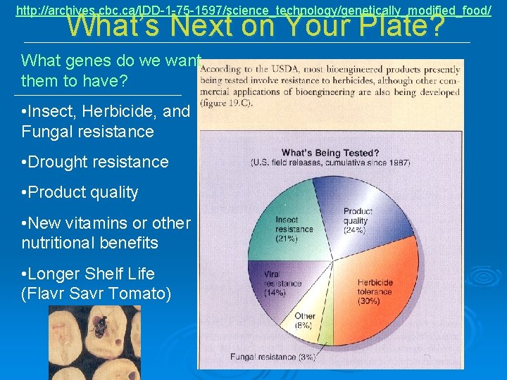 http: //archives. cbc. ca/IDD-1 -75 -1597/science_technology/genetically_modified_food/ What’s Next on Your Plate? What genes do http: //archives. cbc. ca/IDD-1 -75 -1597/science_technology/genetically_modified_food/ What’s Next on Your Plate? What genes do