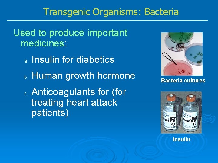 Transgenic Organisms: Bacteria Used to produce important medicines: a. Insulin for diabetics b. Human