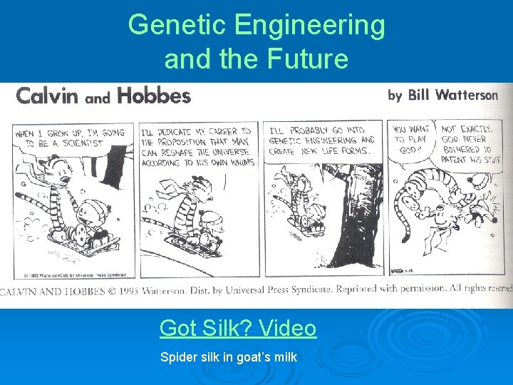 Genetic Engineering and the Future Got Silk? Video Spider silk in goat’s milk 