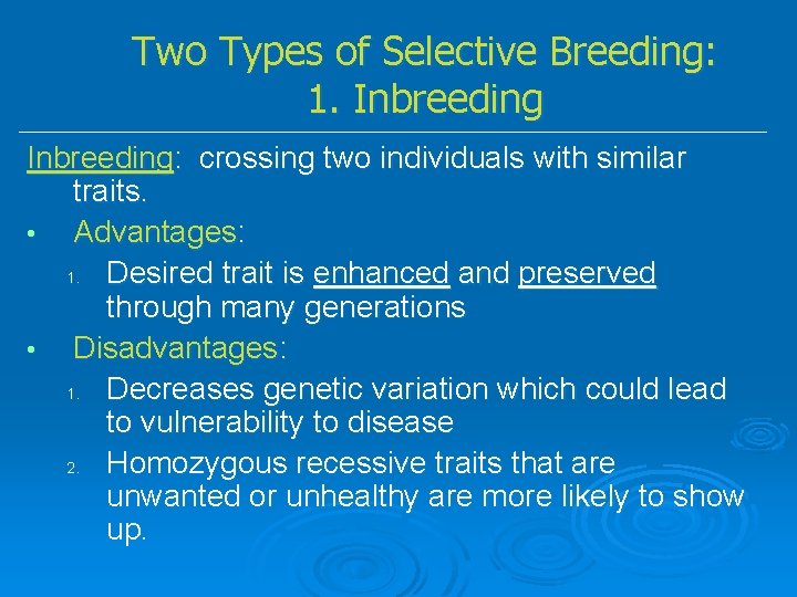 Two Types of Selective Breeding: 1. Inbreeding: crossing two individuals with similar traits. •