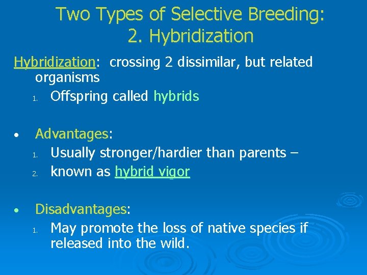 Two Types of Selective Breeding: 2. Hybridization: crossing 2 dissimilar, but related organisms 1.