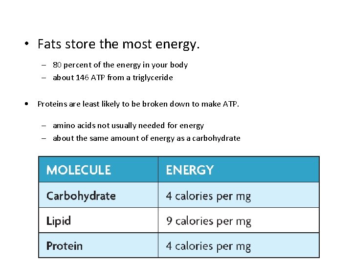 • Fats store the most energy. – 80 percent of the energy in