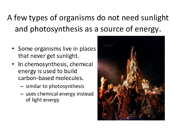 A few types of organisms do not need sunlight and photosynthesis as a source