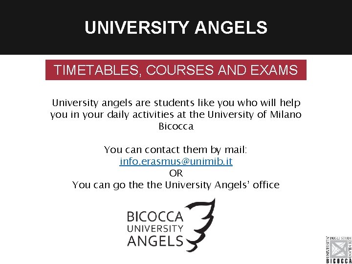 UNIVERSITY ANGELS TIMETABLES, COURSES AND EXAMS University angels are students like you who will