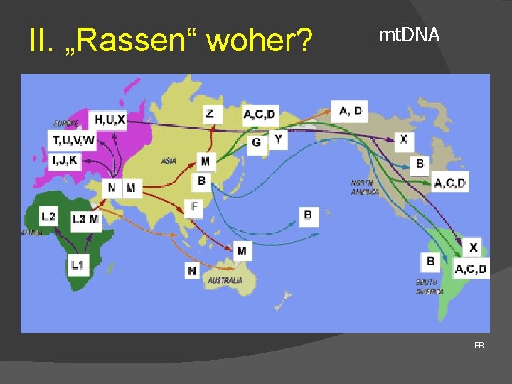 II. „Rassen“ woher? mt. DNA FB 