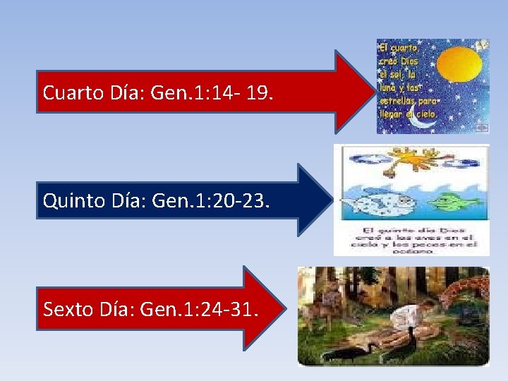 Cuarto Día: Gen. 1: 14 - 19. Quinto Día: Gen. 1: 20 -23. Sexto