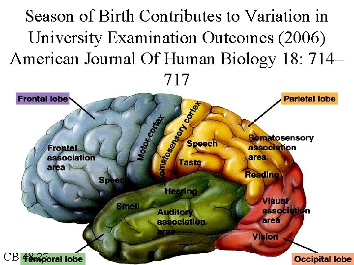 Season of Birth Contributes to Variation in University Examination Outcomes (2006) American Journal Of