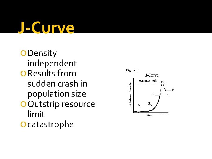 J-Curve Density independent Results from sudden crash in population size Outstrip resource limit catastrophe