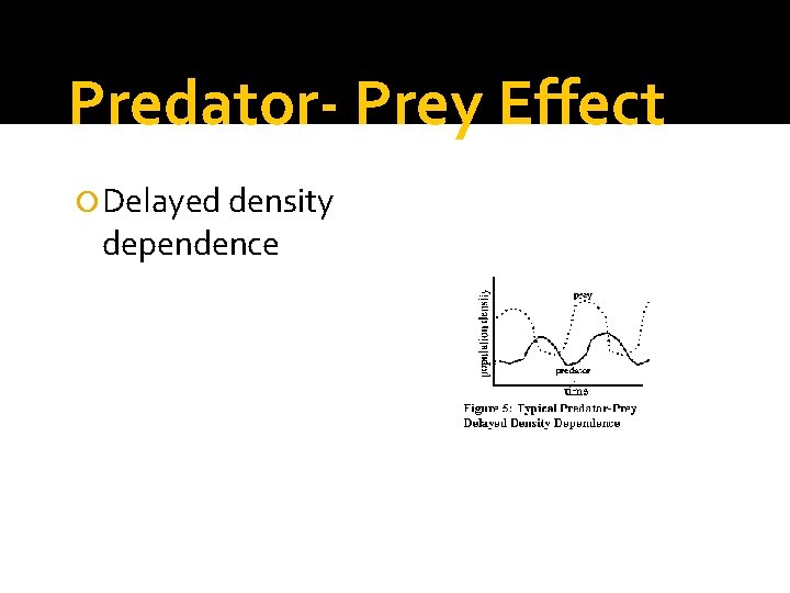 Predator- Prey Effect Delayed density dependence 