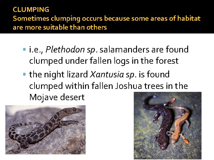 CLUMPING Sometimes clumping occurs because some areas of habitat are more suitable than others