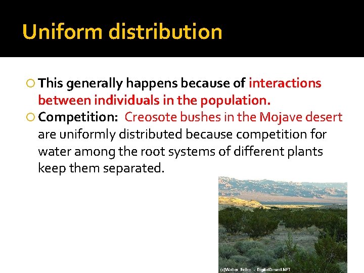 Uniform distribution This generally happens because of interactions between individuals in the population. Competition: