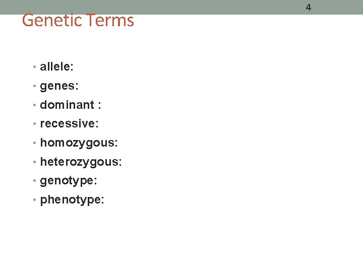 Genetic Terms • allele: • genes: • dominant : • recessive: • homozygous: •