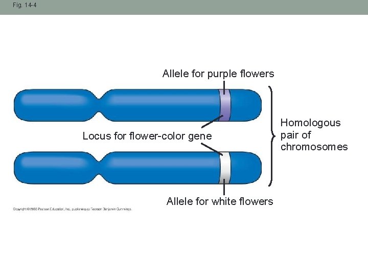 THE BASICS 2 what is it