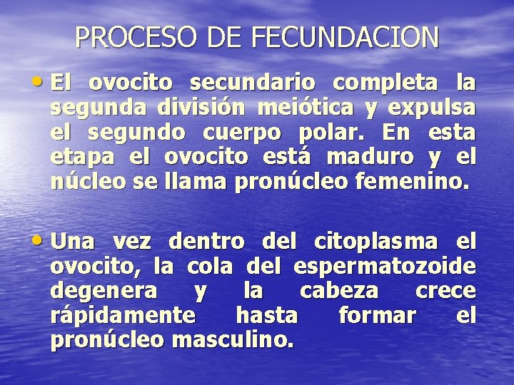 PROCESO DE FECUNDACION • El ovocito secundario completa la segunda división meiótica y expulsa