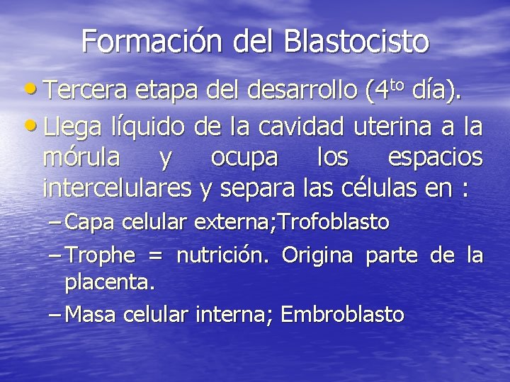 Formación del Blastocisto • Tercera etapa del desarrollo (4 to día). • Llega líquido