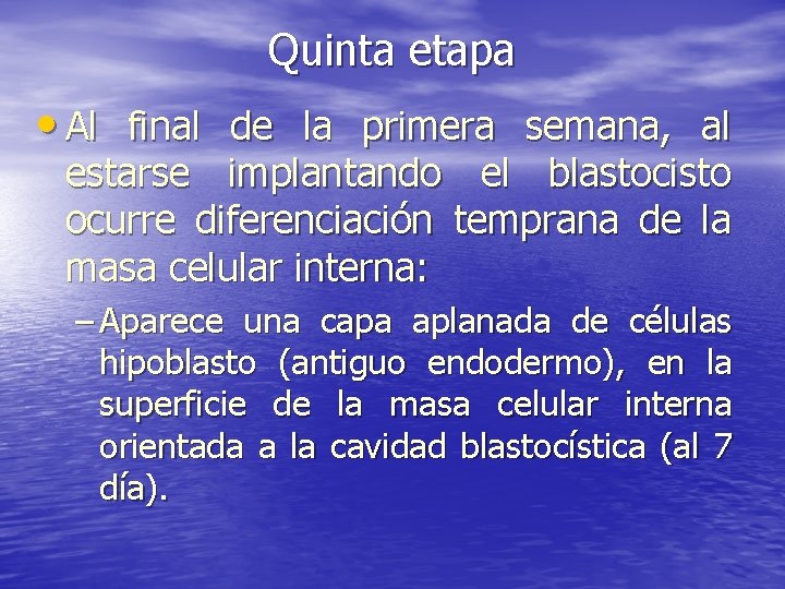 Quinta etapa • Al final de la primera semana, al estarse implantando el blastocisto