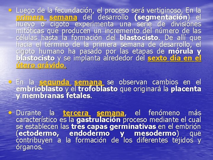  • Luego de la fecundación, el proceso será vertiginoso. En la primera semana