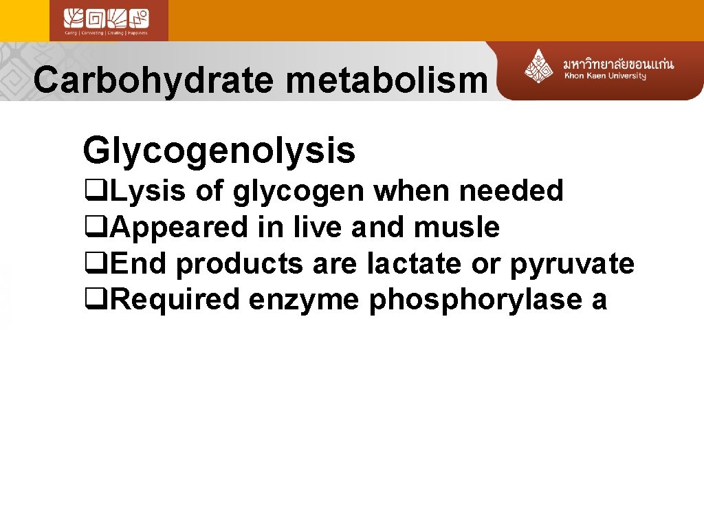 Carbohydrate metabolism Glycogenolysis q. Lysis of glycogen when needed q. Appeared in live and