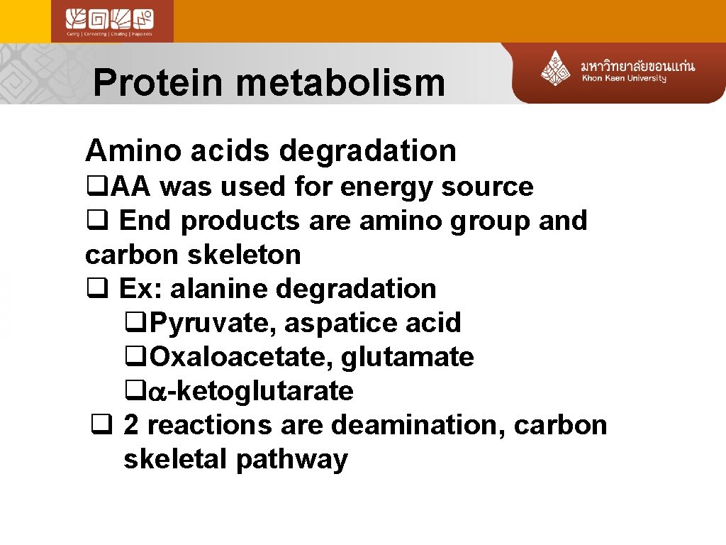 Protein metabolism Amino acids degradation q. AA was used for energy source q End