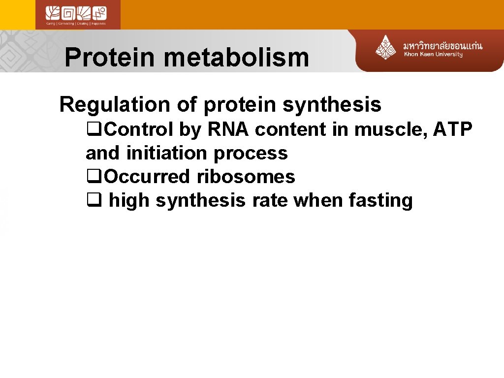 Protein metabolism Regulation of protein synthesis q. Control by RNA content in muscle, ATP