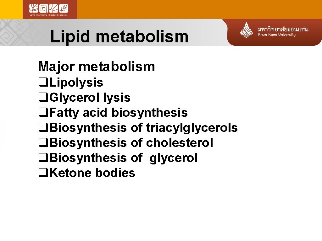 Lipid metabolism Major metabolism q. Lipolysis q. Glycerol lysis q. Fatty acid biosynthesis q.